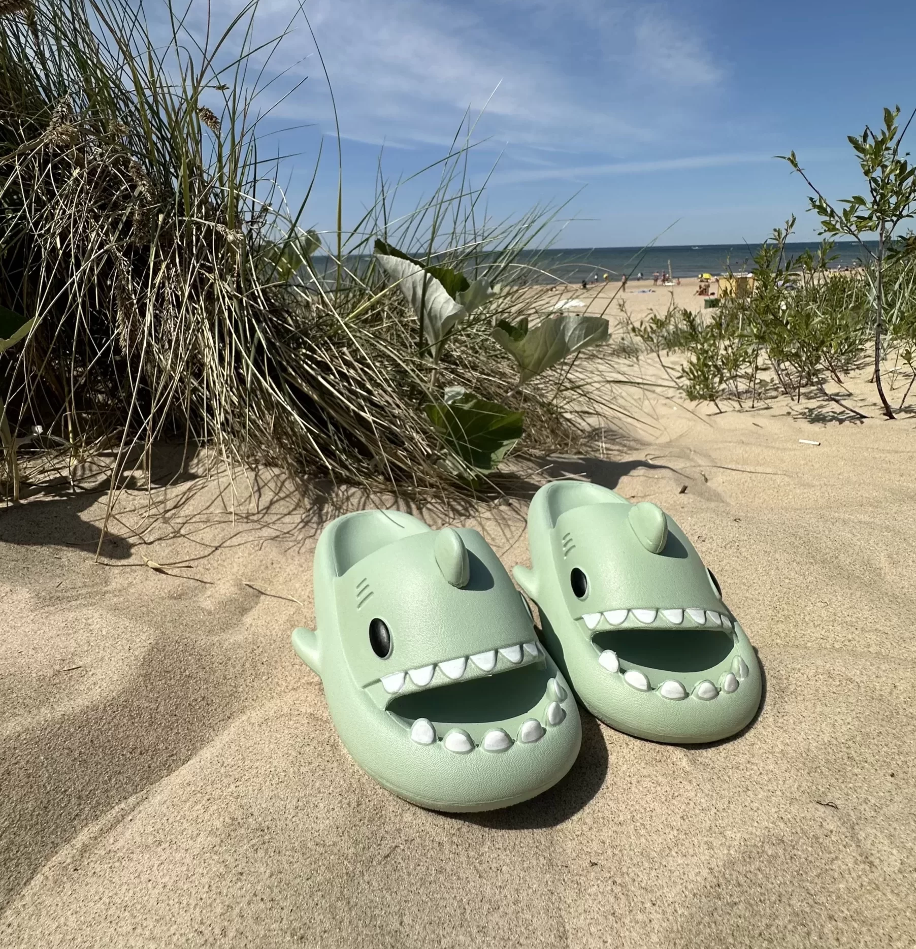 Baby discount shark slippers